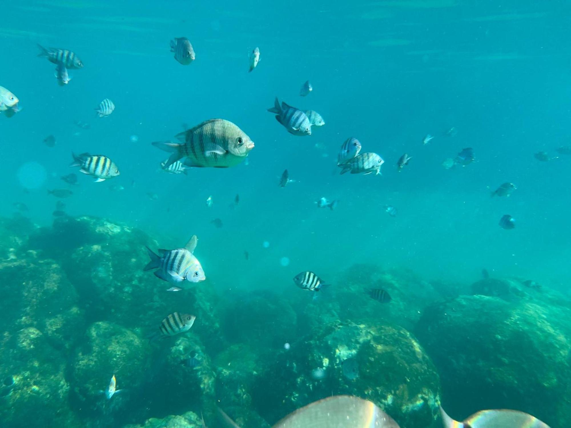Cabana Do Mar Angra dos Reis Zewnętrze zdjęcie